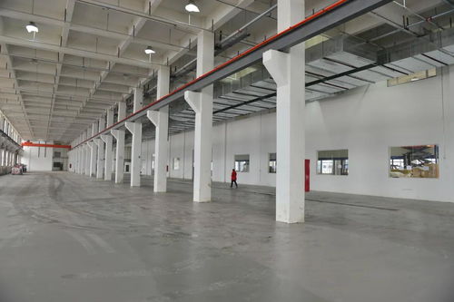 全面升級 科學建設丨探訪建設中的大眾卓越現代產業園